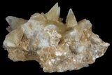 Dogtooth Calcite Crystal Cluster - Morocco #61233-1